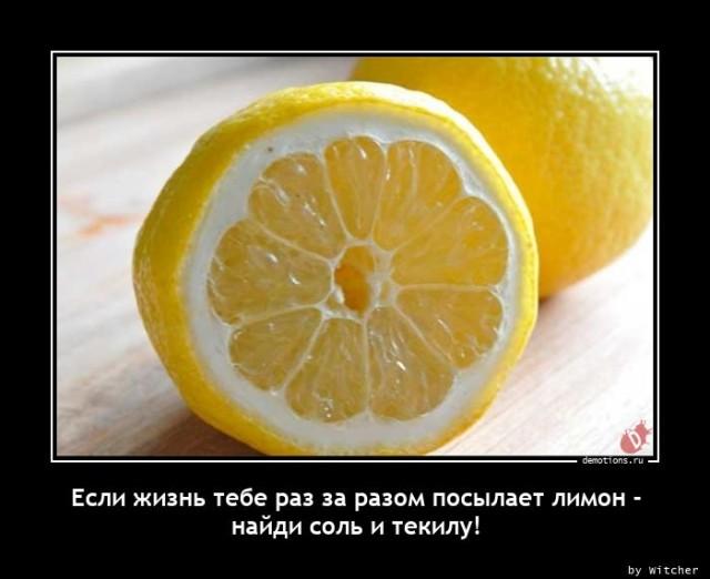 
			Демотиваторы №3648 (15 фото)