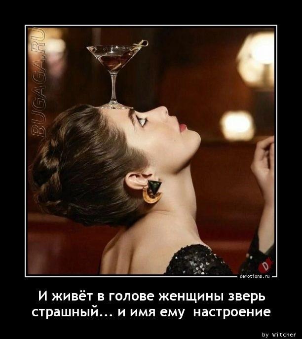 
			Демотиваторы №3633 (15 фото)