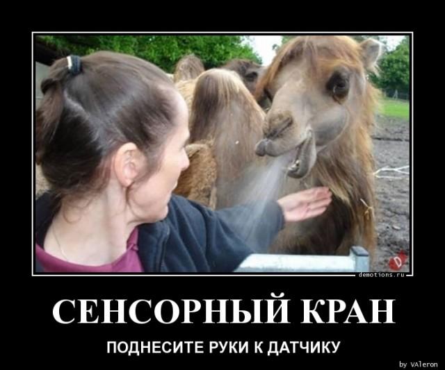 
			Демотиваторы №3642 (15 фото)