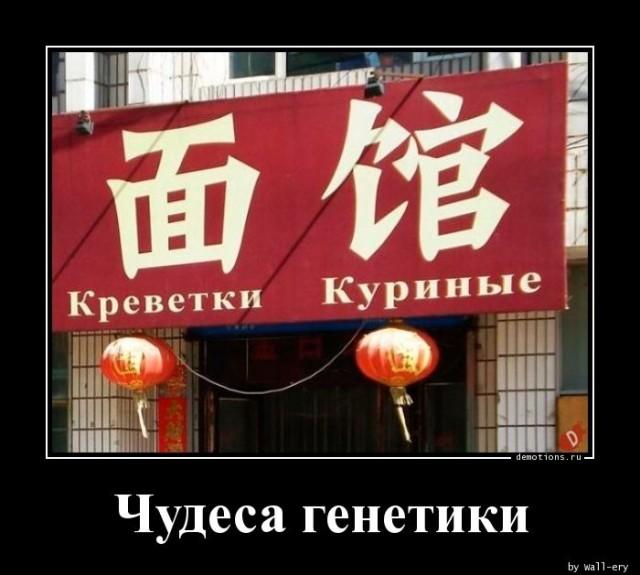 
			Демотиваторы №3646 (20 фото)