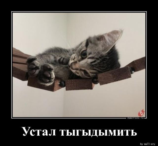 
			Демотиваторы №3646 (20 фото)