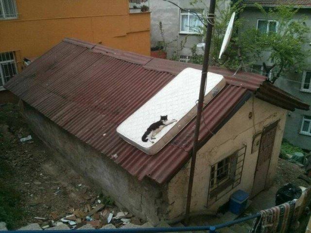 Подборка прикольных фото №3690