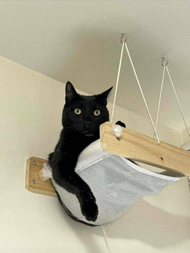Подборка прикольных фото №3694