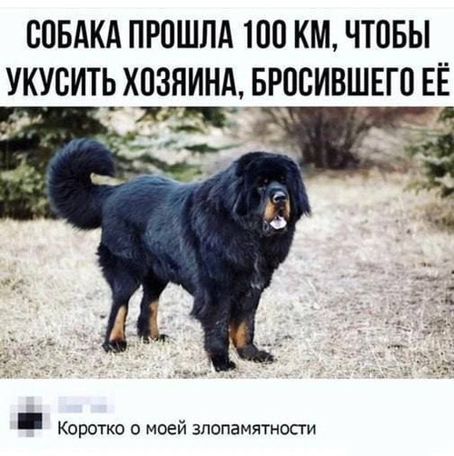 Мем №1523576
