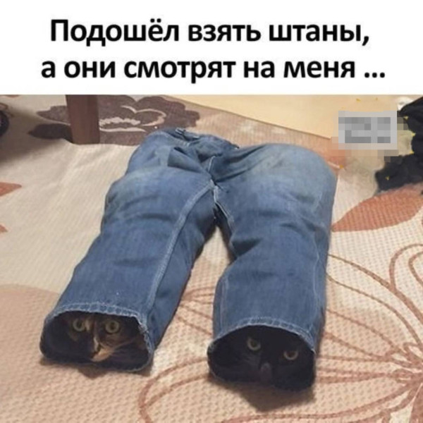 Мем №1521595