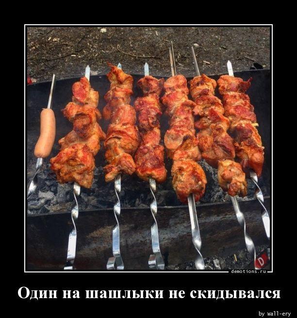 
			Демотиваторы №3646 (20 фото)