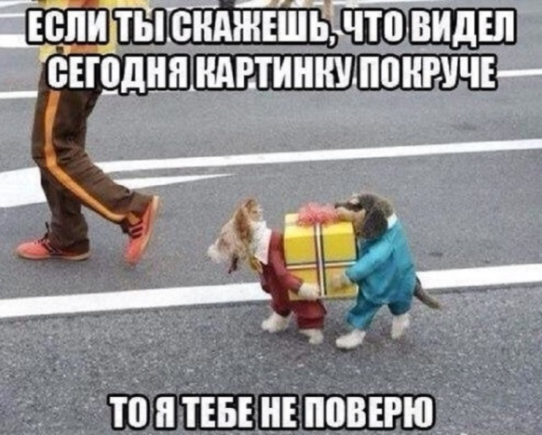 Мем №1525916
