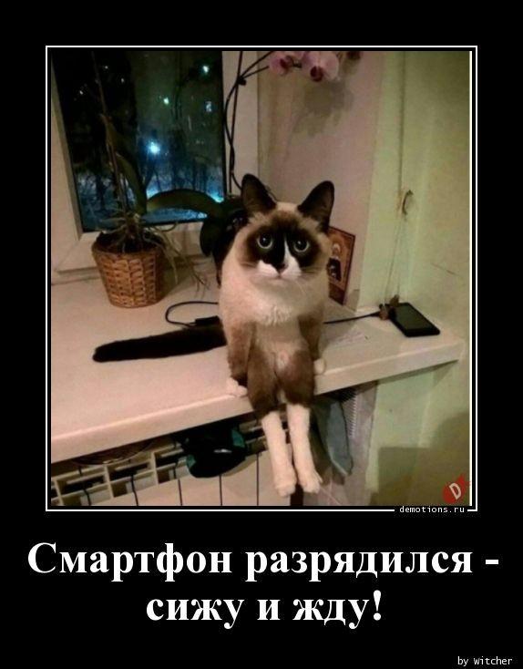 
			Демотиваторы №3645 (15 фото)