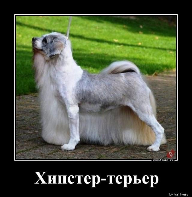 
			Демотиваторы №3650 (15 фото)
