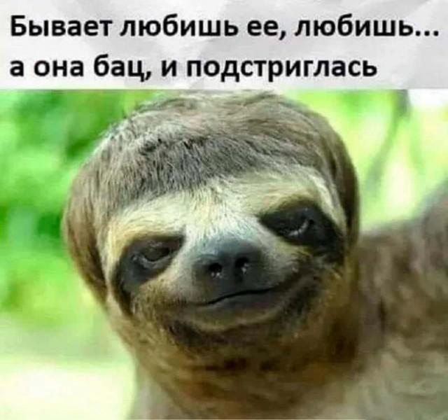 Подборка прикольных фото №3695