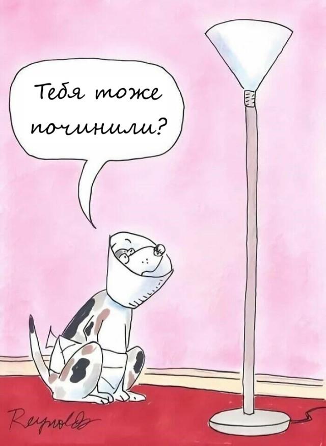 Коллекция комиксов для позитива: «Как сделать автопортрет»