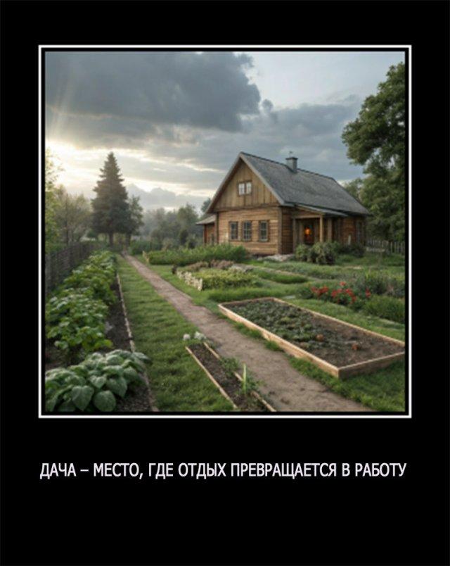 
			Демотиваторы №3638 (15 фото)