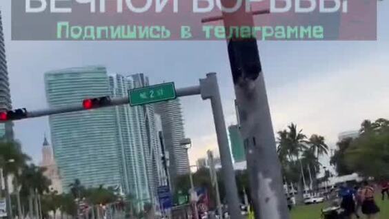 
        Хотел прокатить полицейского на капоте, но забыл, что находится в США    