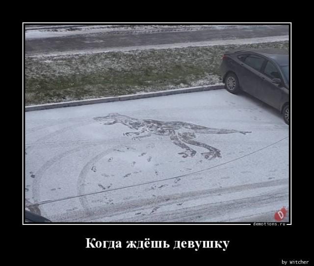 
			Демотиваторы №3645 (15 фото)