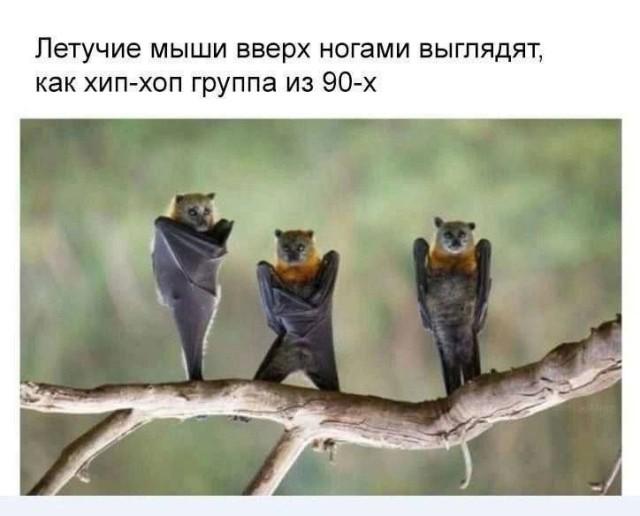 Подборка прикольных фото №3688
