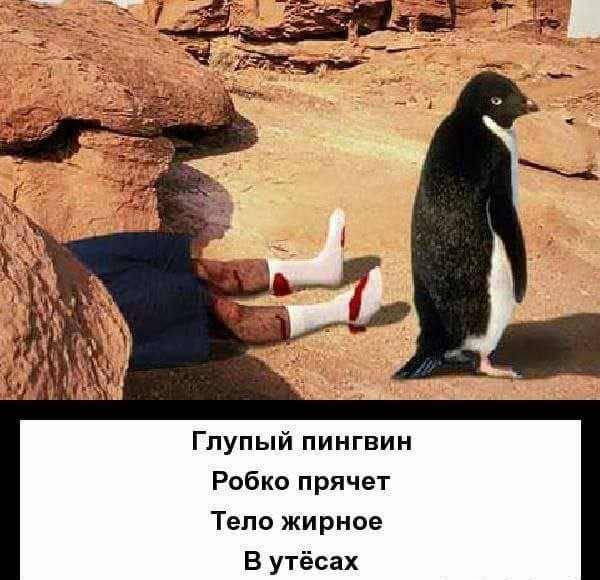 Мем №1526276