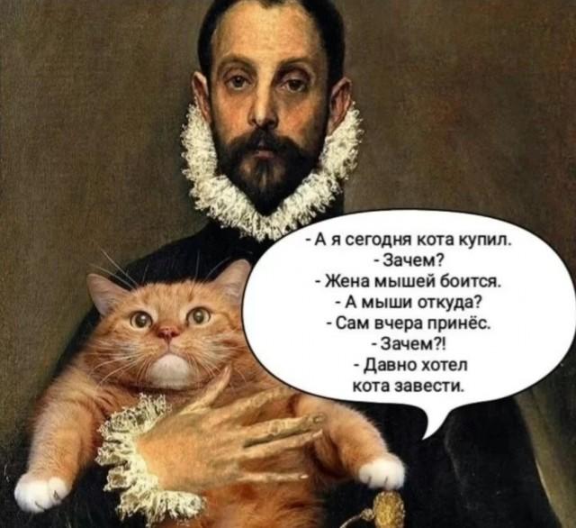 Подборка картинок-баянов с котиками и про котиков