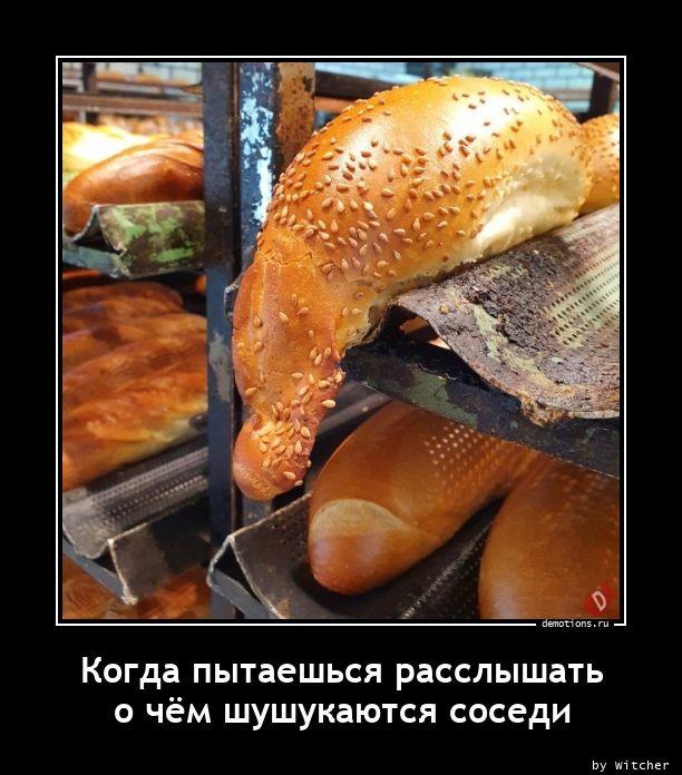 
			Демотиваторы №3645 (15 фото)