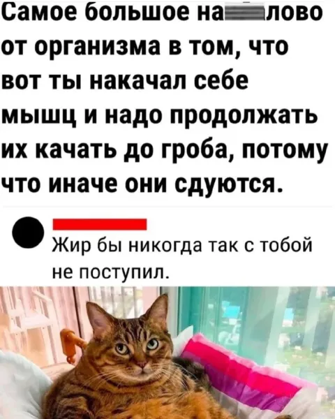 Мем №1522974
