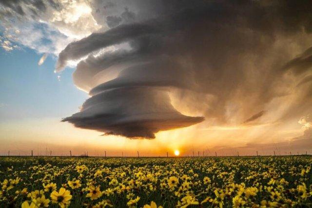 Подборка прикольных фото №3689