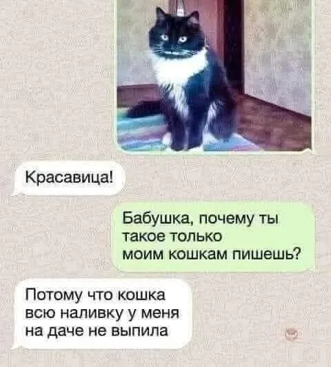 Мем №1525695