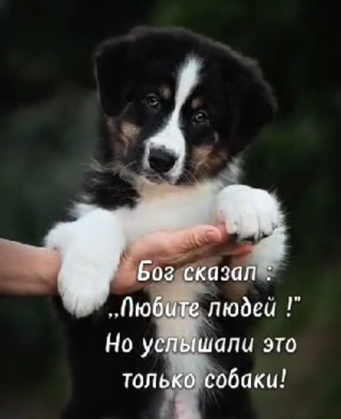 Мем №1525021