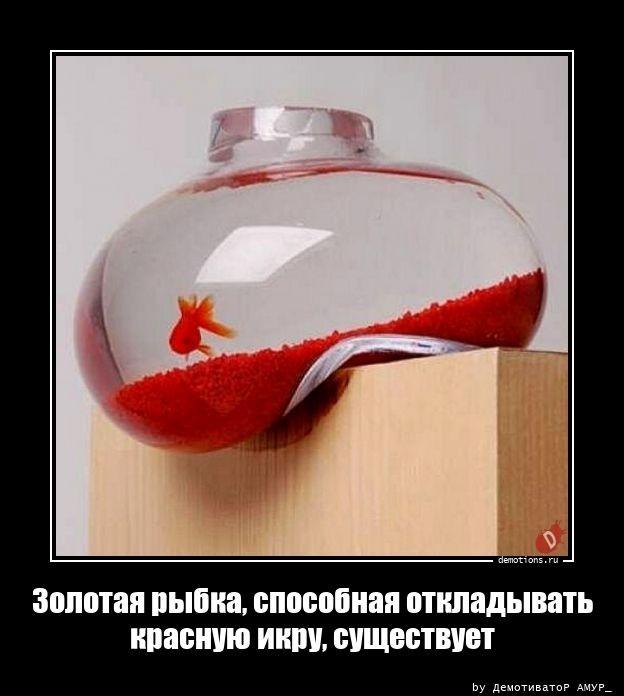 
			Демотиваторы №3646 (20 фото)