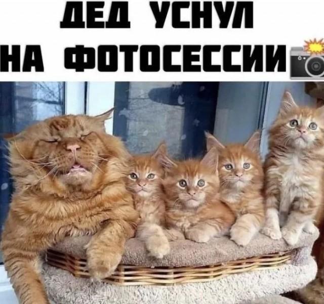 Подборка прикольных фото №3688