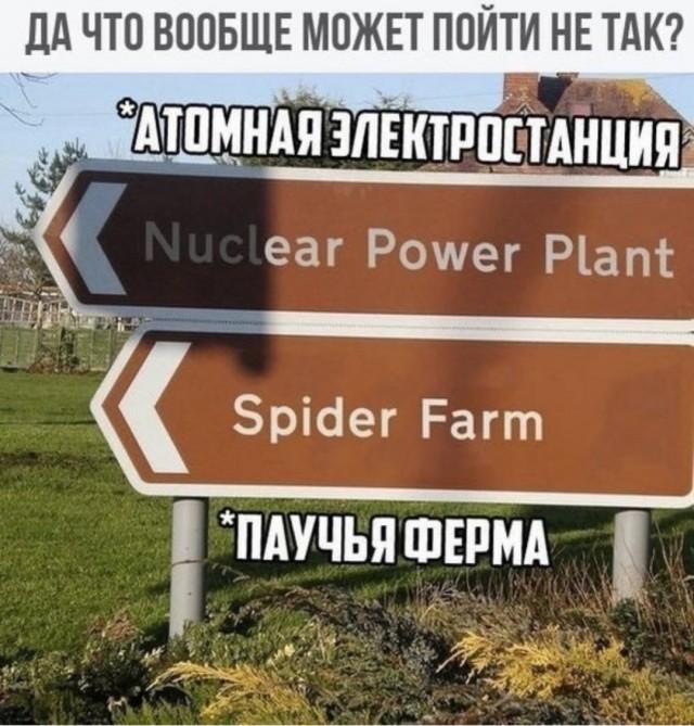 Подборка прикольных фото №3687