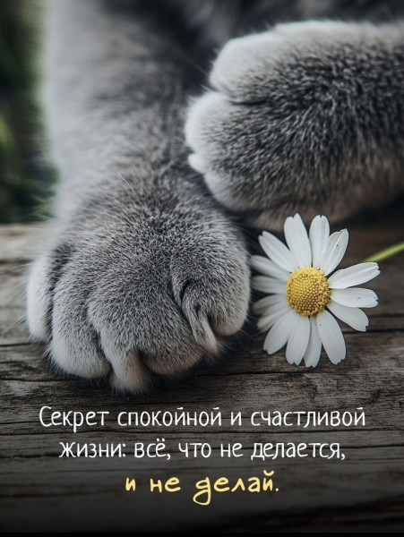 Мем №1525155