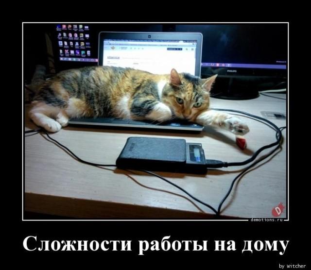 
			Демотиваторы №3651 (15 фото)