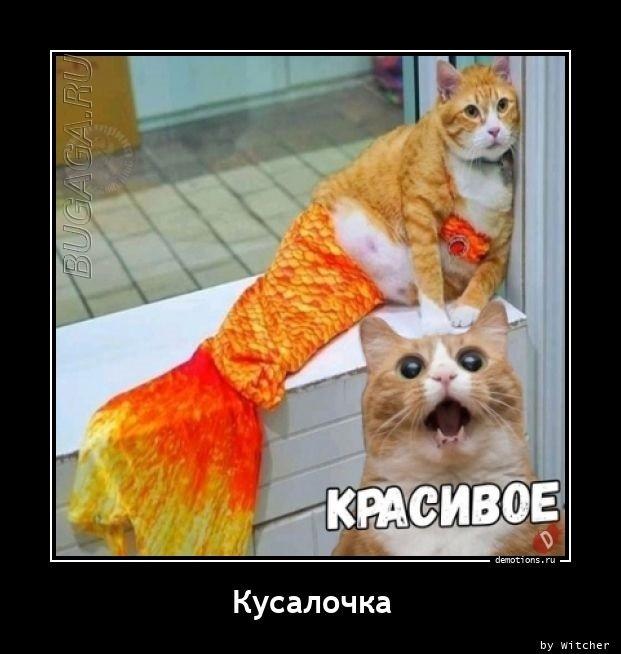 
			Демотиваторы №3632 (20 фото)