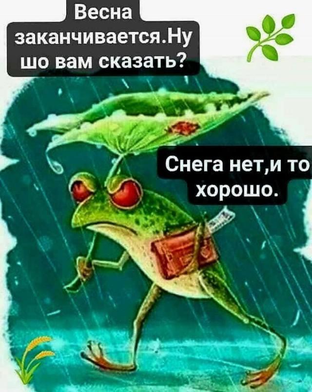 Подборка прикольных фото №3696