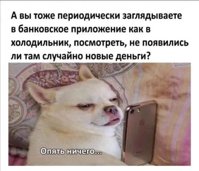 Подборка прикольных фото №3703