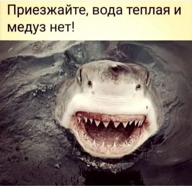 Подборка прикольных фото №3688