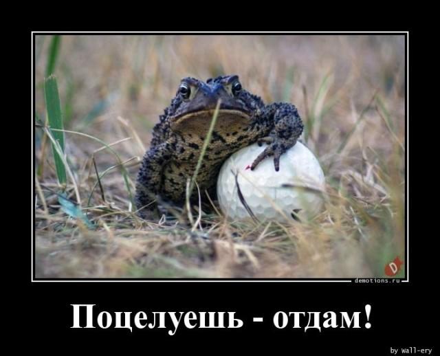 
			Демотиваторы №3652 (18 фото)