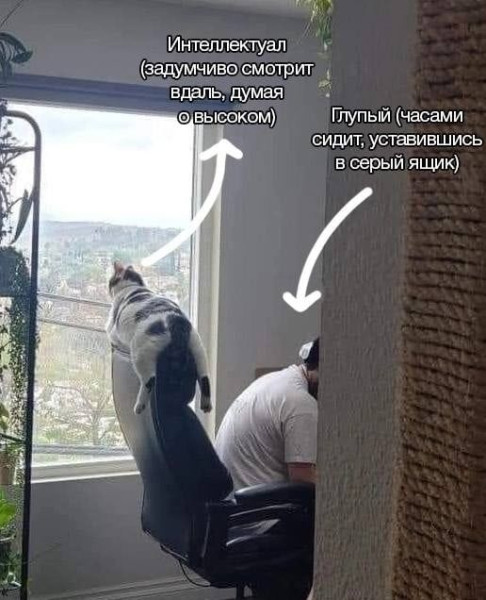 Мем №1523724