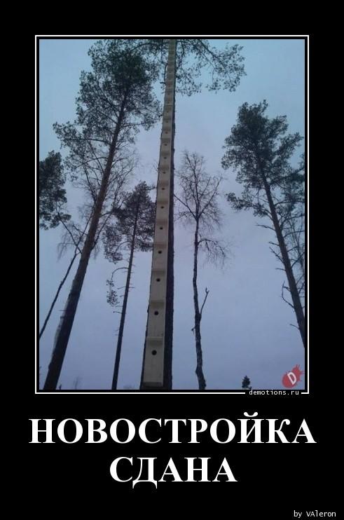 
			Демотиваторы №3645 (15 фото)