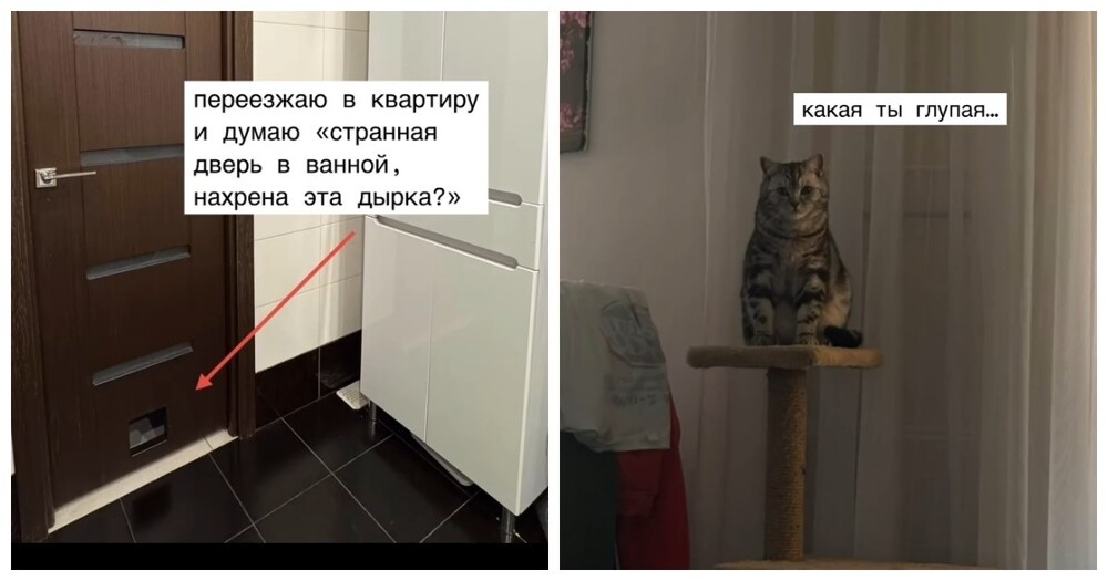 
        Девушка переехала в квартиру с загадочной дверью в туалет    