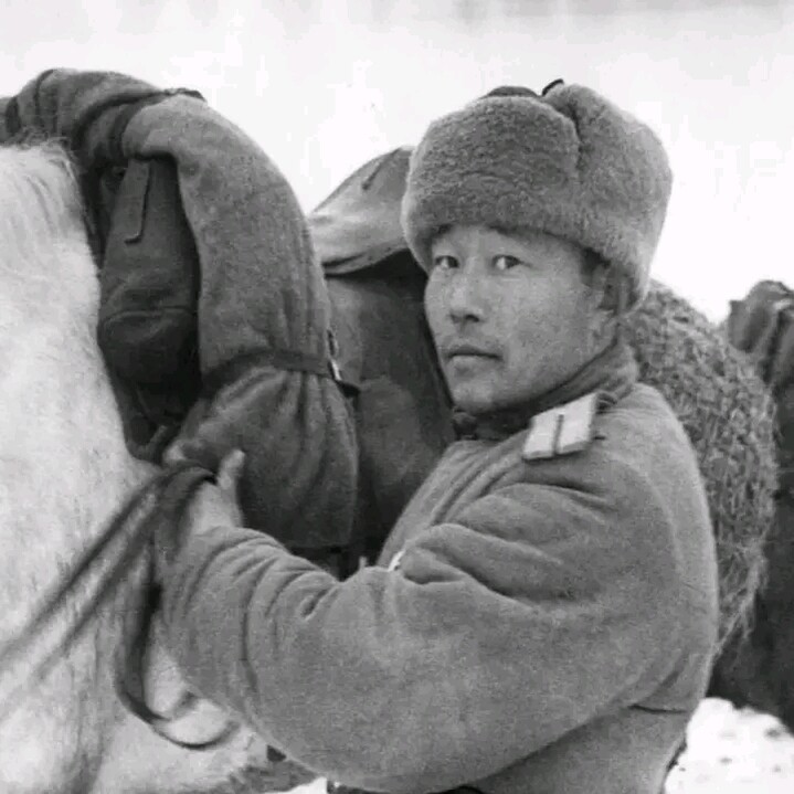 История №1526353