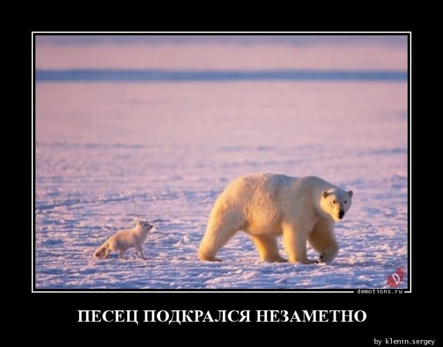
			Демотиваторы №3635 (15 фото)