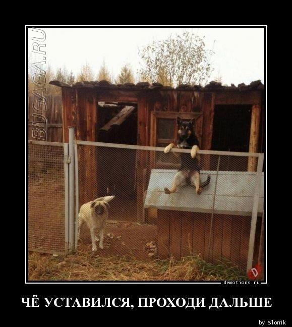 
			Демотиваторы №3634 (17 фото)