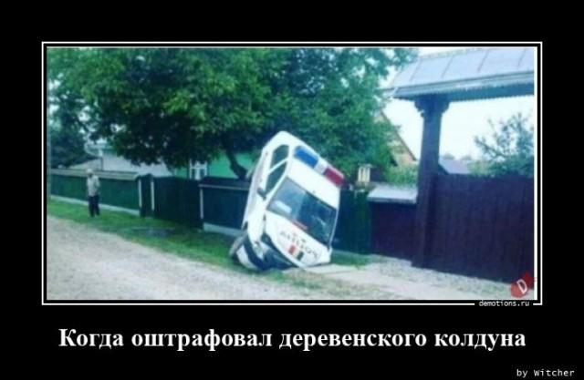 
			Демотиваторы №3646 (20 фото)