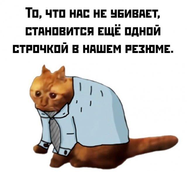 Подборка прикольных фото №3700
