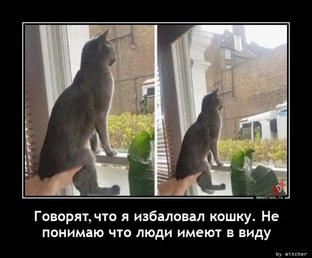 
			Демотиваторы №3645 (15 фото)