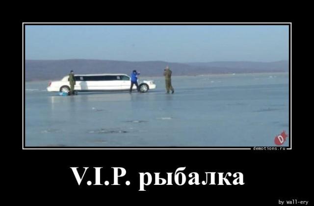 
			Демотиваторы №3646 (20 фото)