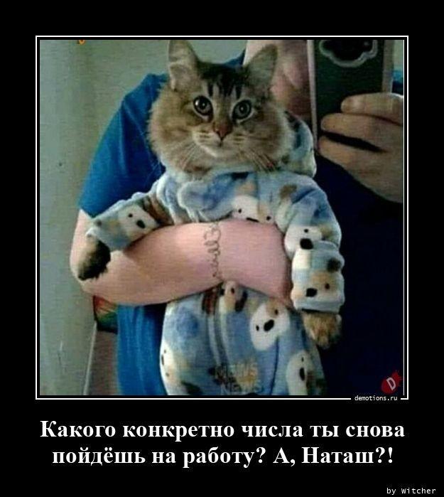 
			Демотиваторы №3648 (15 фото)