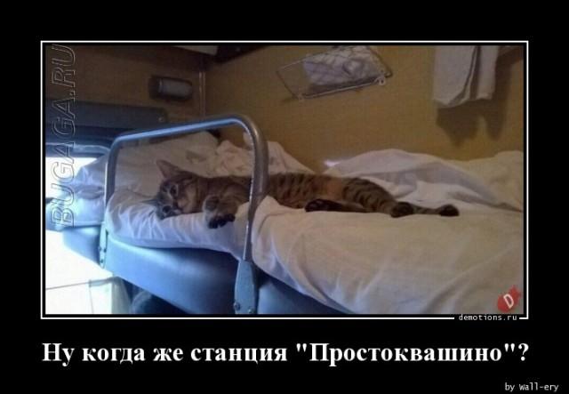 
			Демотиваторы №3636 (18 фото)