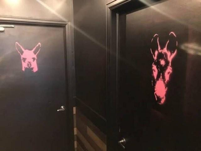 Вывески в туалетах