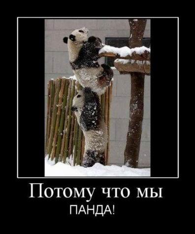 
			Демотиваторы №3649 (15 фото)